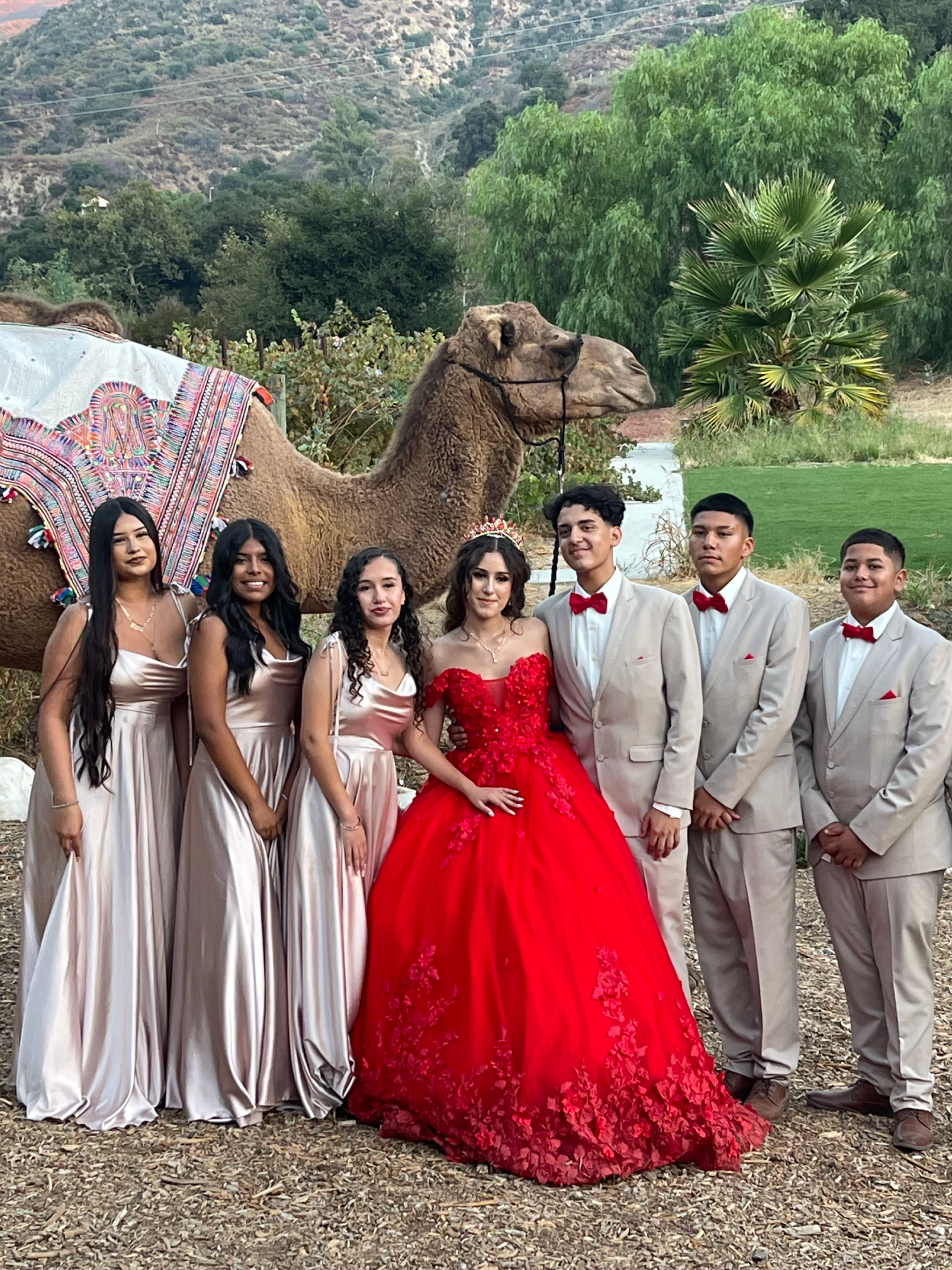 Quinceañera and her court of damas and chambelanes at Reptacular Ranch with a decorated camel