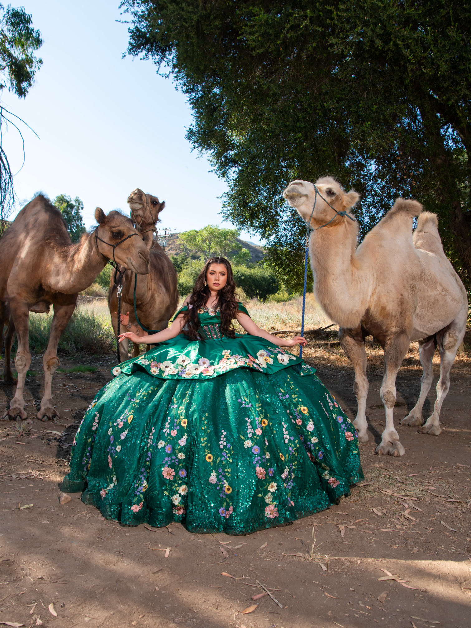 Quinceañera in pink ball gown at floral arch with baby camel at Reptacular Ranch