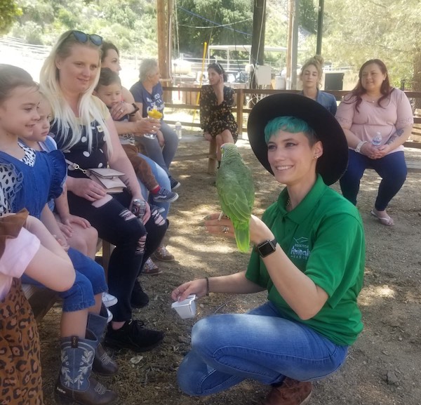 birthday party event bird los angeles kids presentation